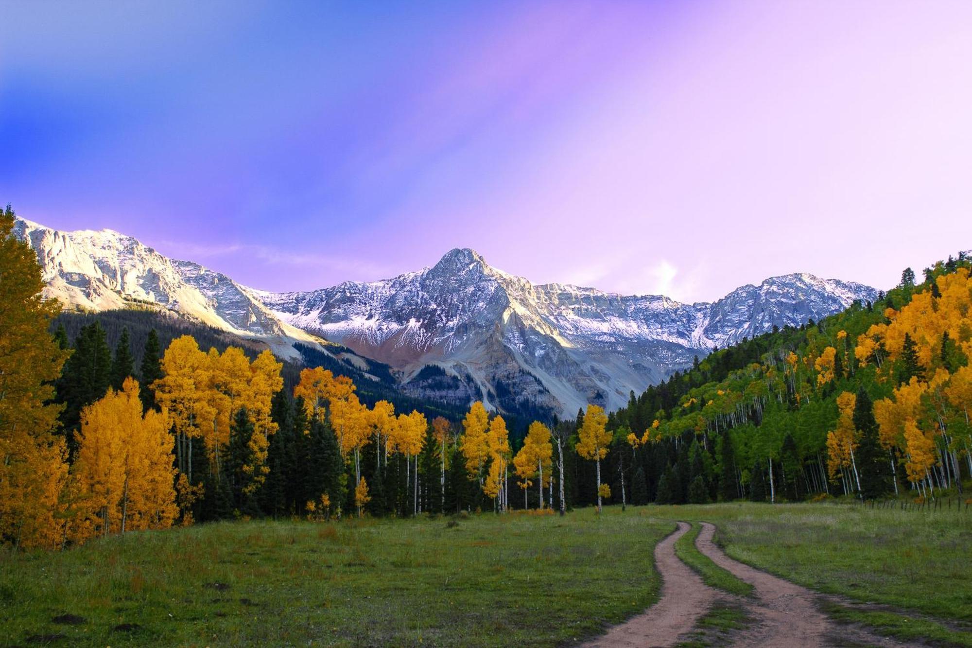 Viking Lodge Telluride Ruang foto